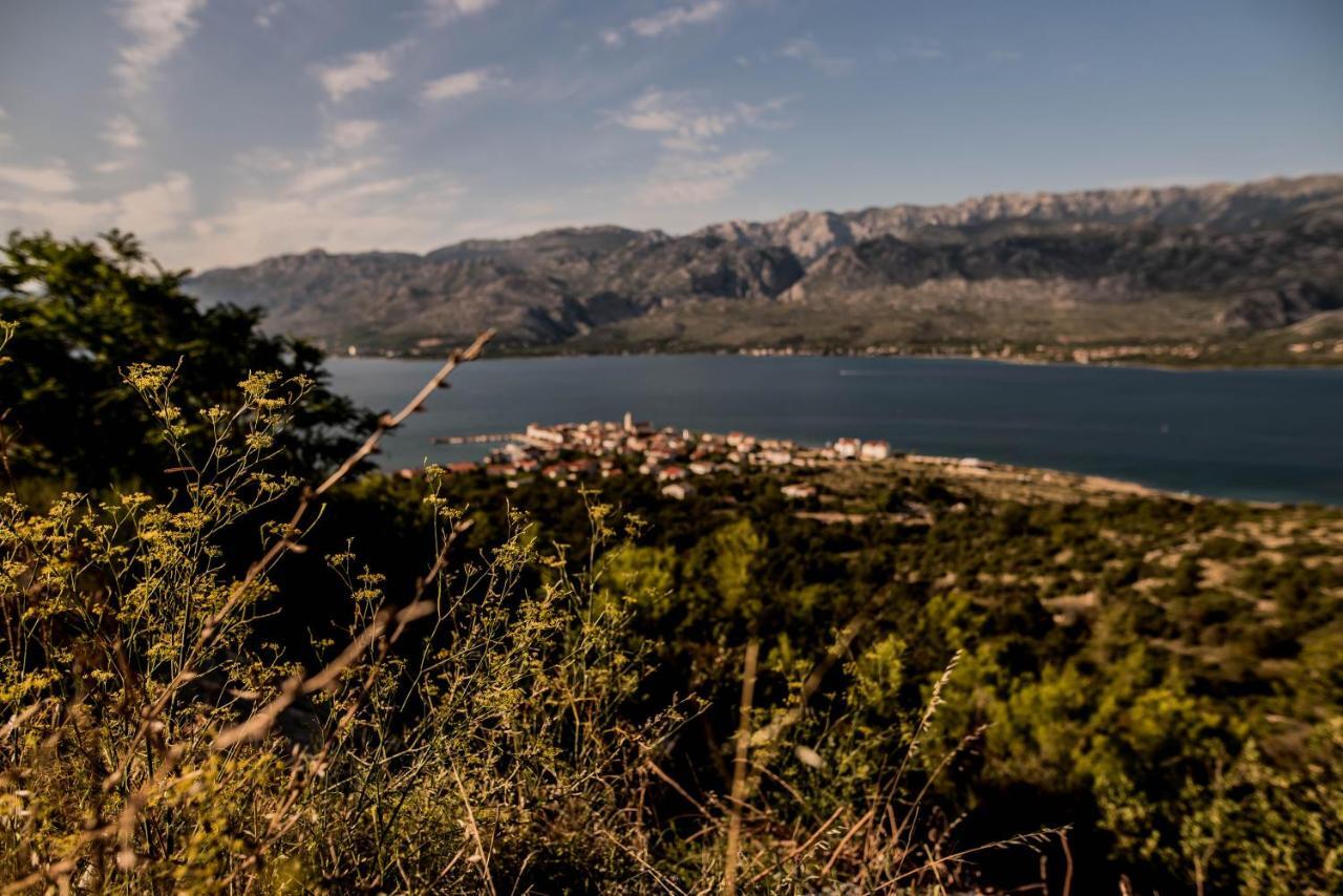 La Familia, Zadar, Vinjerac Villa Ngoại thất bức ảnh